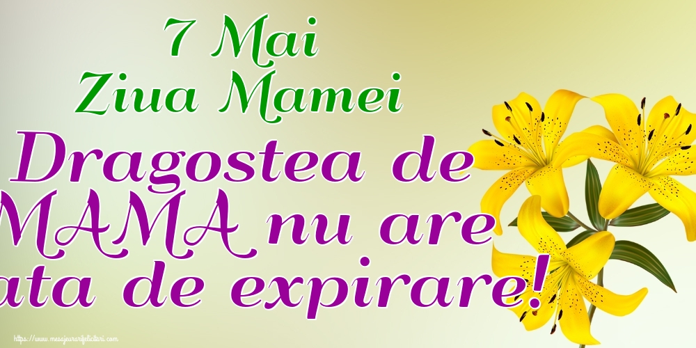 Felicitari de Ziua Mamei - 7 Mai Ziua Mamei Dragostea de MAMA nu are data de expirare! - mesajeurarifelicitari.com
