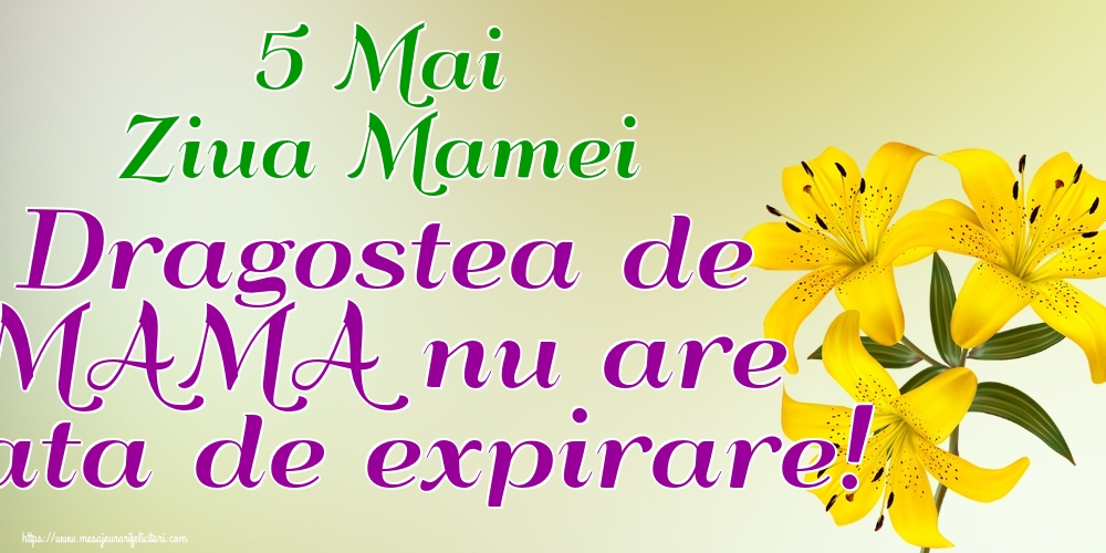 Felicitari de Ziua Mamei - 5 Mai Ziua Mamei Dragostea de MAMA nu are data de expirare! - mesajeurarifelicitari.com