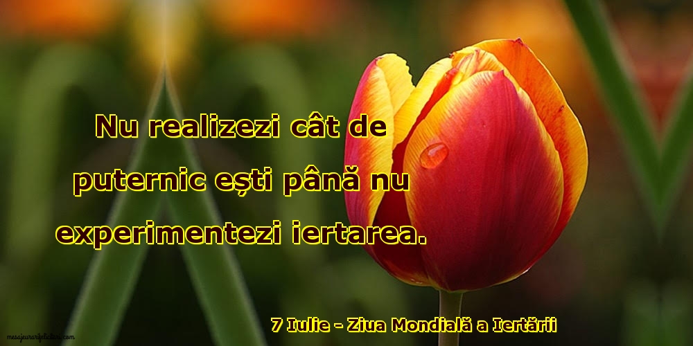 7 Iulie - Ziua Mondială a Iertării