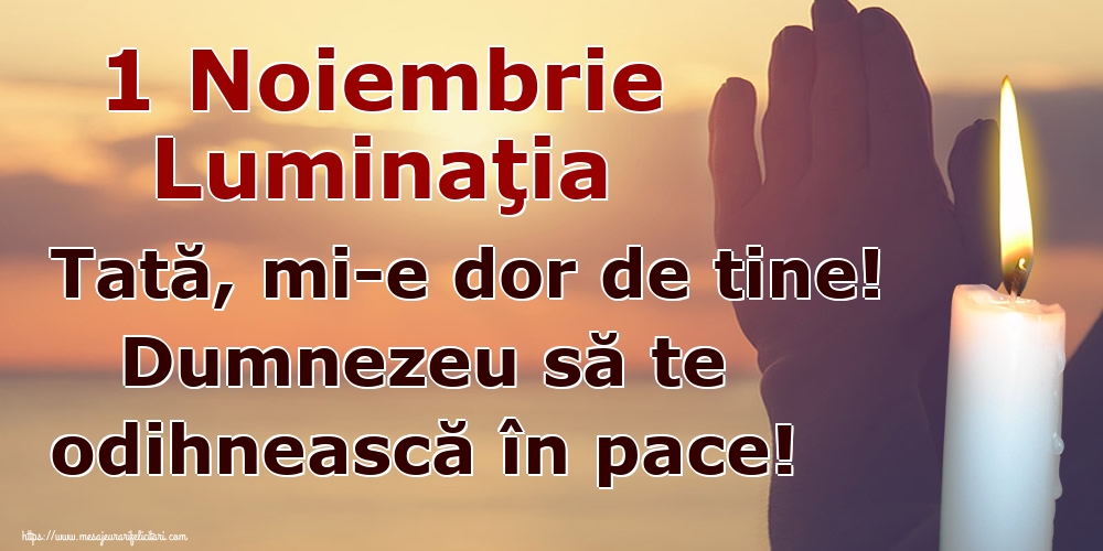 1 Noiembrie Luminaţia Tată, mi-e dor de tine! Dumnezeu să te odihnească în pace!