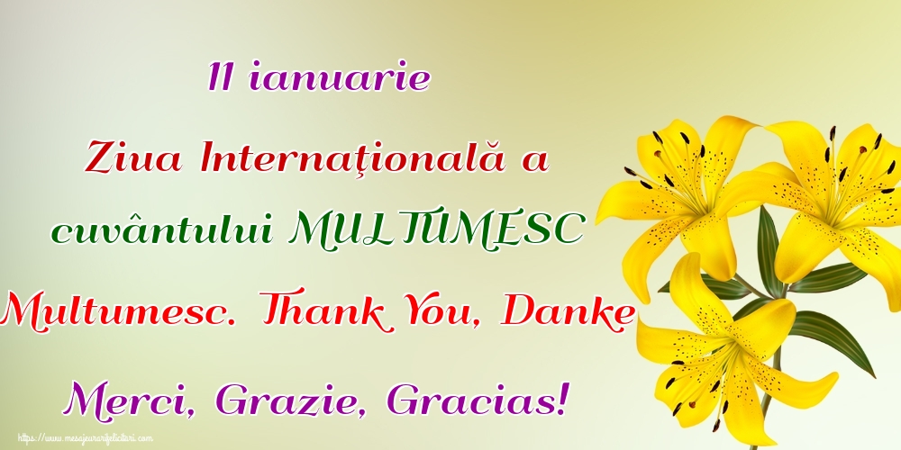 11 ianuarie Ziua Internaţională a cuvântului MULTUMESC Multumesc. Thank You, Danke Merci, Grazie, Gracias!