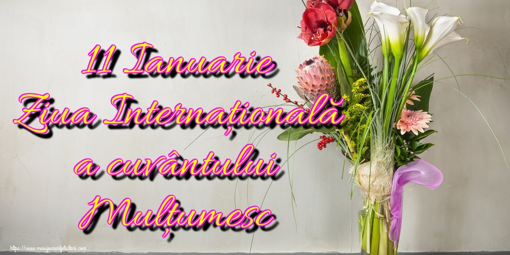 11 Ianuarie Ziua Internațională a cuvântului Mulțumesc