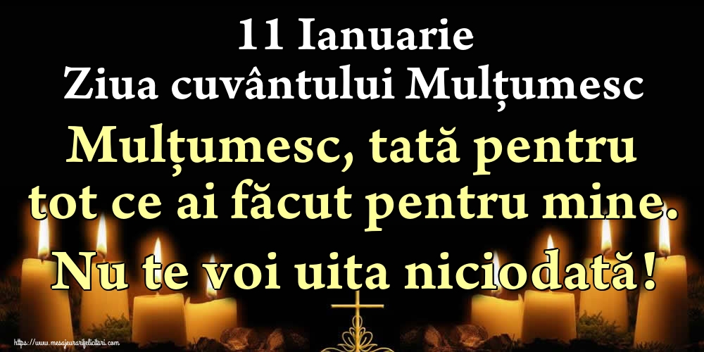 11 Ianuarie Ziua cuvântului Mulțumesc Mulțumesc, tată pentru tot ce ai făcut pentru mine. Nu te voi uita niciodată!