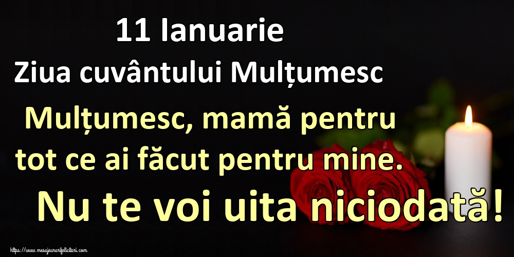 11 Ianuarie Ziua cuvântului Mulțumesc Mulțumesc, mamă pentru tot ce ai făcut pentru mine. Nu te voi uita niciodată!
