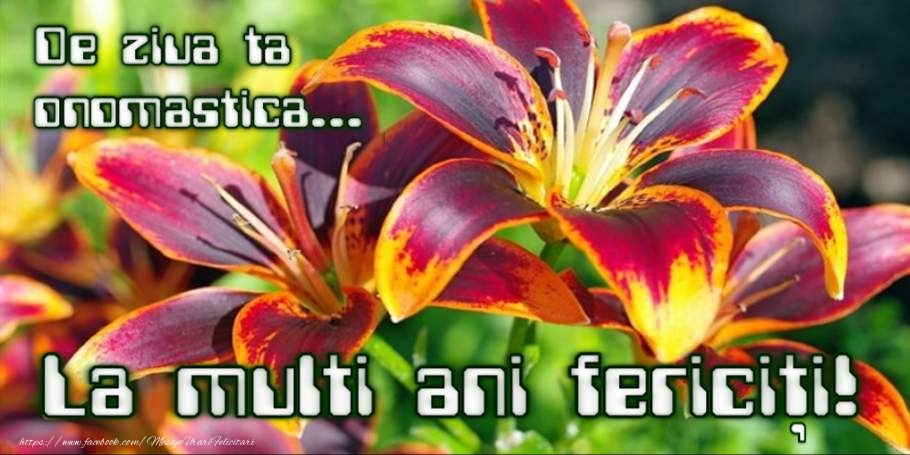 La multi ani de ziua onomastica!