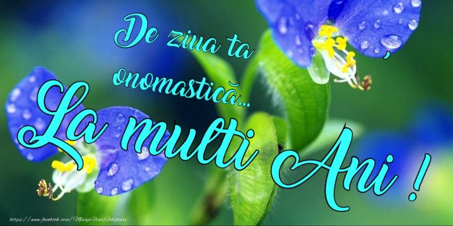 La multi ani de ziua onomastica!