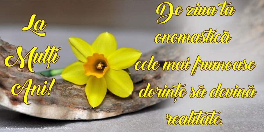 La multi ani de ziua onomastica!