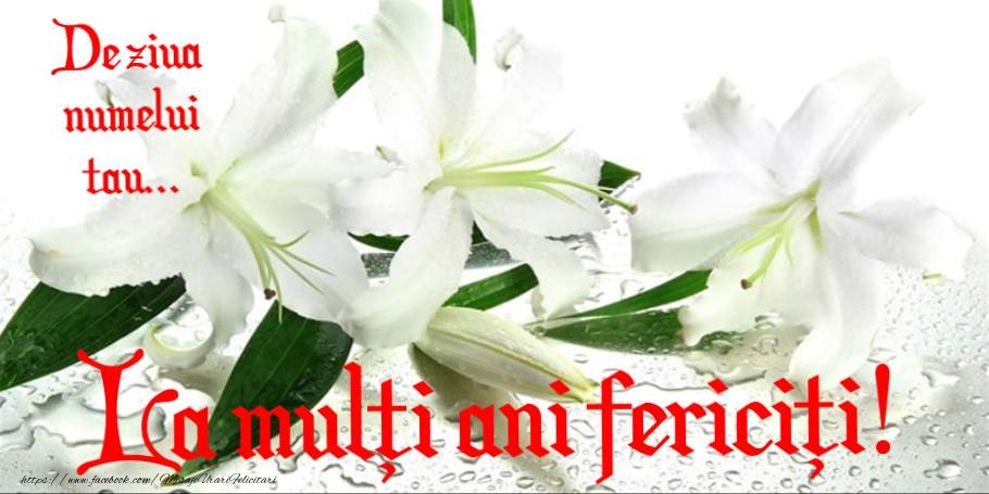La multi ani de ziua numelui!