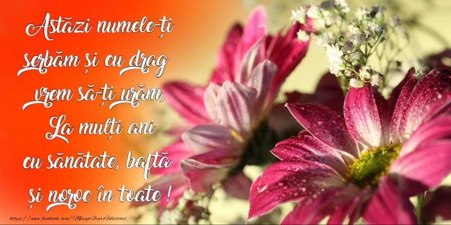 La multi ani de ziua numelui!