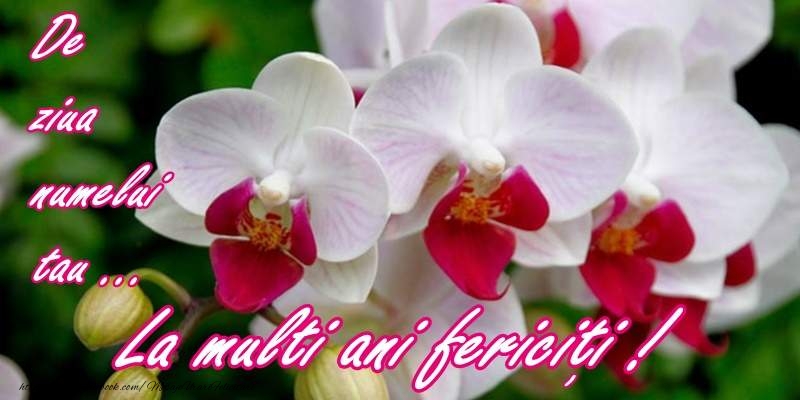 La multi ani de ziua numelui!