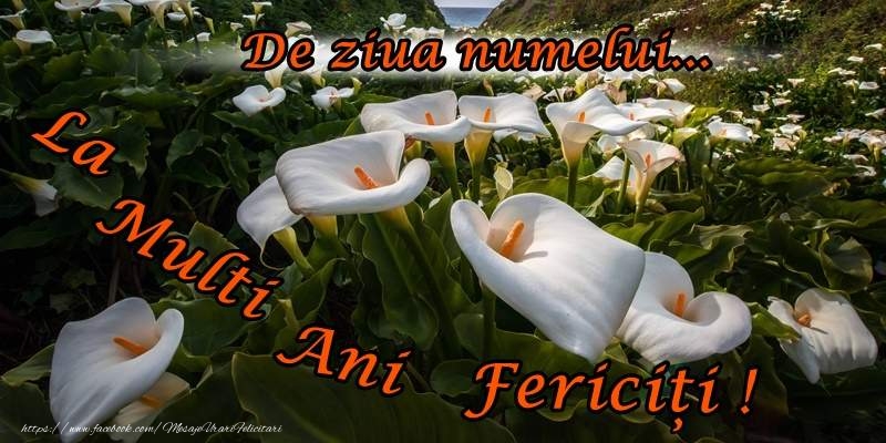 La multi ani de ziua numelui!
