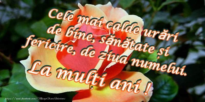 La multi ani de ziua numelui!