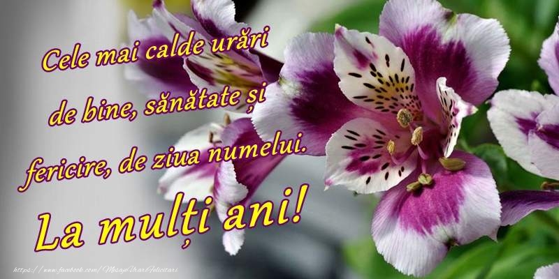 La multi ani de ziua numelui!