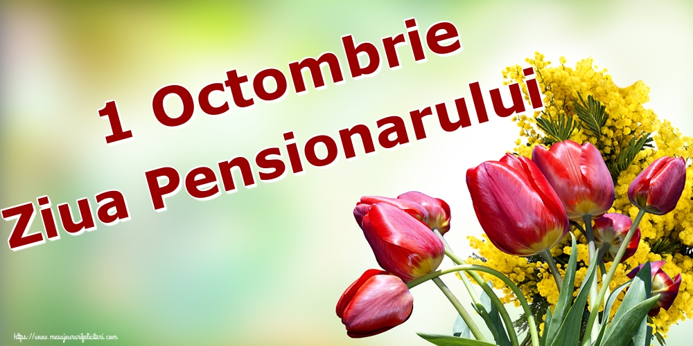 Felicitari de Ziua Pensionarului - 1 Octombrie Ziua Pensionarului
