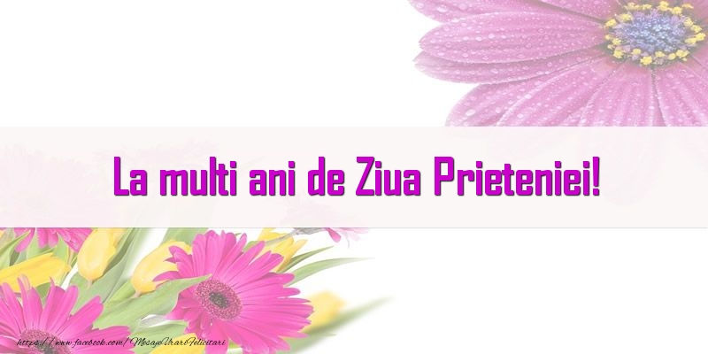 La multi ani de Ziua Prieteniei!