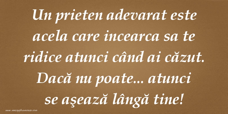 Un prieten adevarat este acela care incearca sa te ridice atunci când ai căzut. Dacă nu poate... atunci se aşează lângă tine!