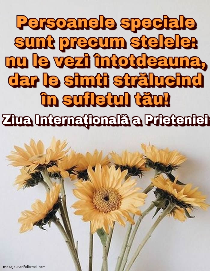 Felicitari de Ziua Internationala a Prieteniei 2019