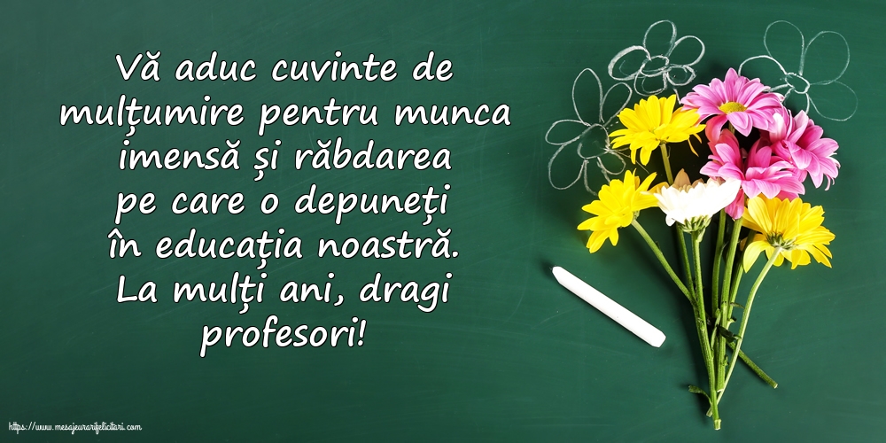Ziua Profesorului La mulți ani, dragi profesori!