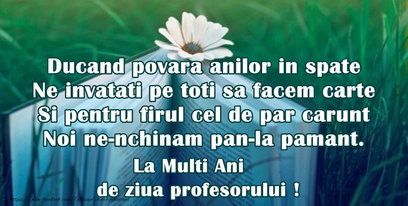 Ducând povara anilor în spate / Ne învatati pe toti sa facem carte / Si pentru firul cel de par carunt / Noi ne-nchinam pân-la pamânt. La multi ani de ziua profesorului!