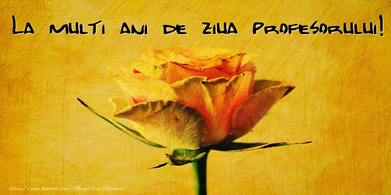La multi ani de ziua profesorului!