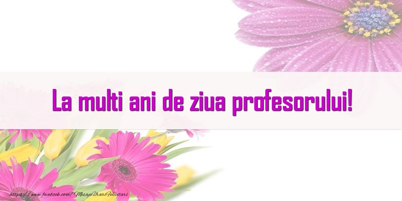 Ziua Profesorului La multi ani de ziua profesorului!