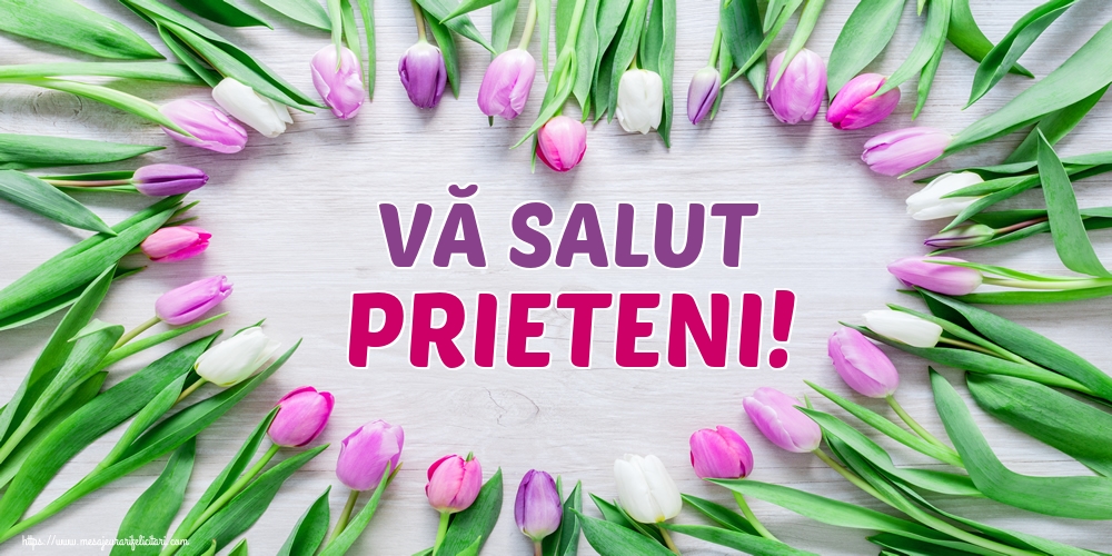 VĂ SALUT PRIETENI!