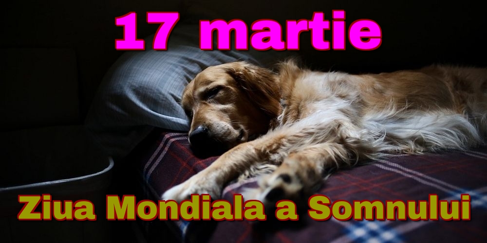 Felicitari de Ziua Somnului - 17 martie Ziua Mondiala a Somnului - mesajeurarifelicitari.com