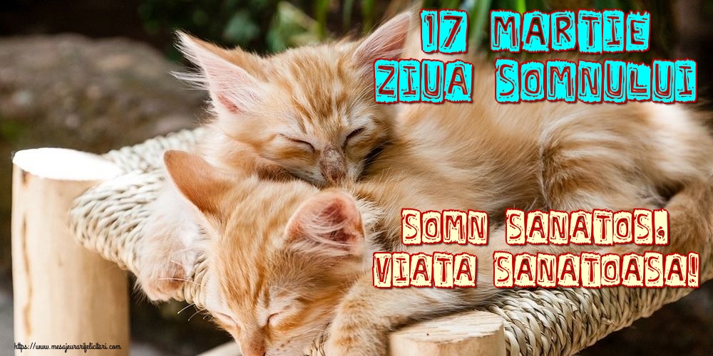 Felicitari de Ziua Somnului - 17 martie Ziua Somnului Somn sanatos, viata sanatoasa! - mesajeurarifelicitari.com