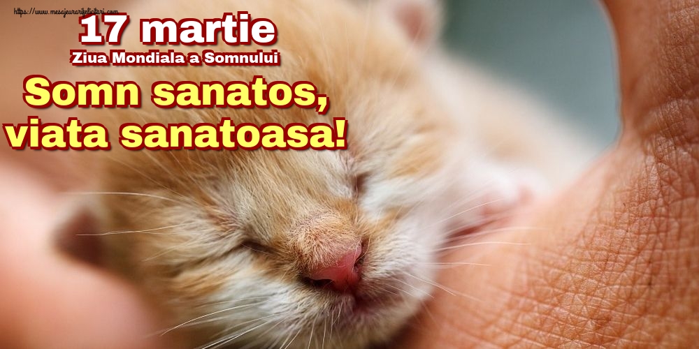 Felicitari de Ziua Somnului - 17 martie Ziua Mondiala a Somnului Somn sanatos, viata sanatoasa! - mesajeurarifelicitari.com