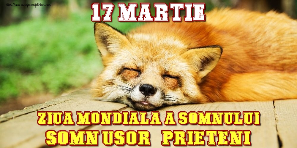 Felicitari de Ziua Somnului - 17 Martie Ziua Mondiala a Somnului Somn usor, prieteni! - mesajeurarifelicitari.com