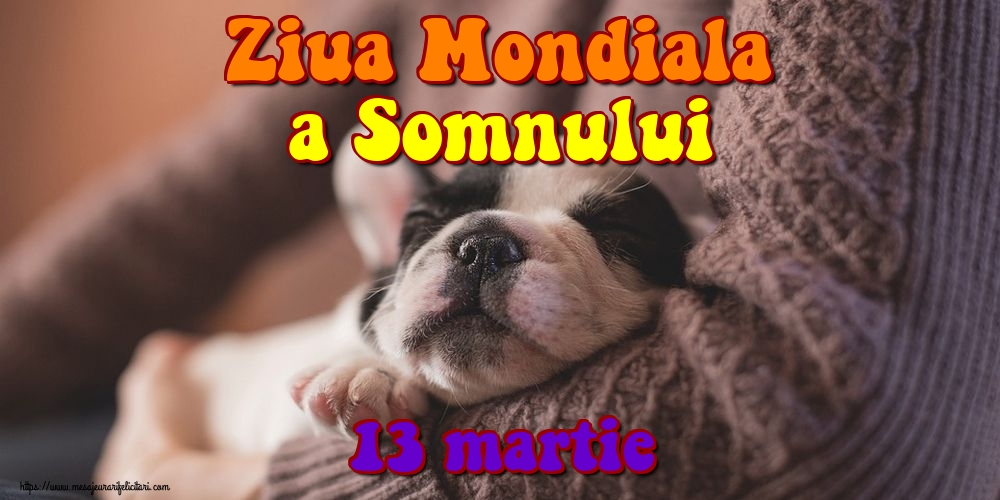 Felicitari de Ziua Somnului - Ziua Mondiala a Somnului 13 martie - mesajeurarifelicitari.com