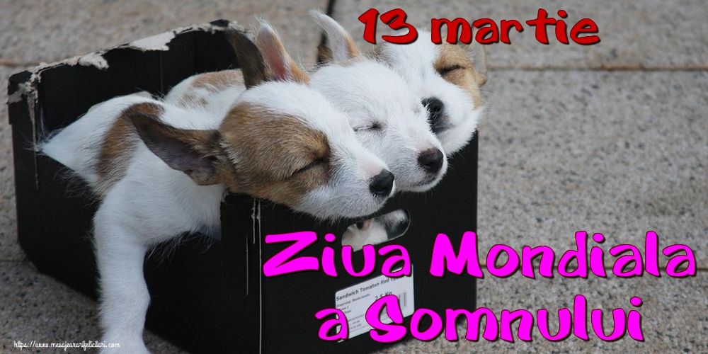 Felicitari de Ziua Somnului - 13 martie Ziua Mondiala a Somnului - mesajeurarifelicitari.com