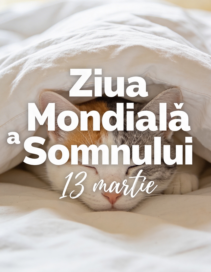 Ziua somnului