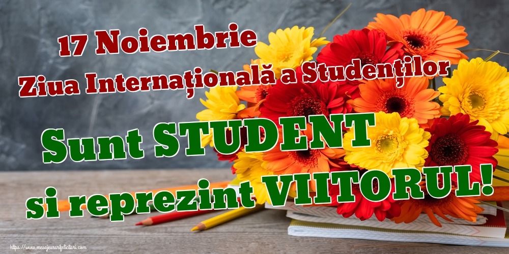 Cele mai apreciate felicitari de Ziua Internaţională a Studenţilor - 17 Noiembrie Ziua Internaţională a Studenţilor Sunt STUDENT si reprezint VIITORUL!