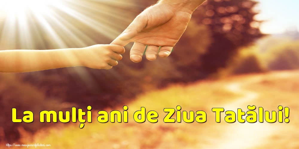La mulți ani de Ziua Tatălui!