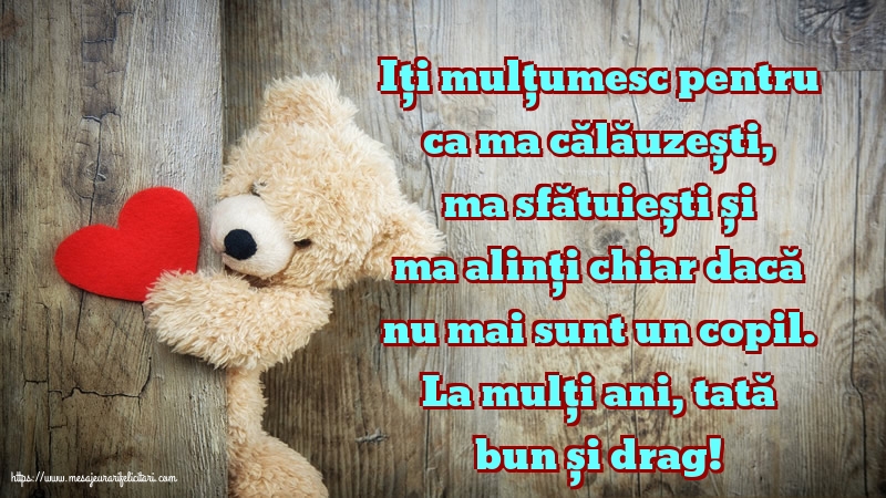 La mulți ani, tată bun și drag