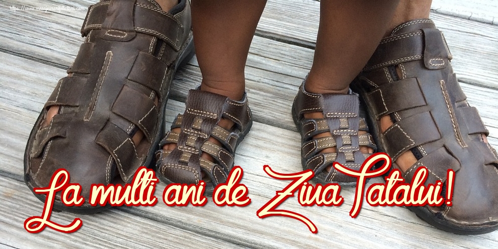 La multi ani de Ziua Tatalui!