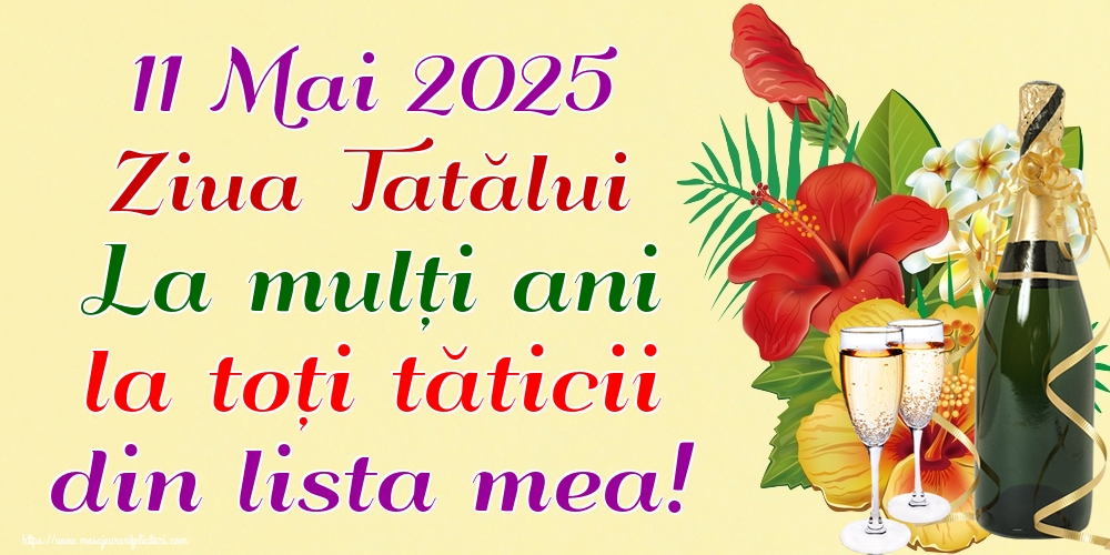 11 Mai 2025 Ziua Tatălui La mulți ani la toți tăticii din lista mea!