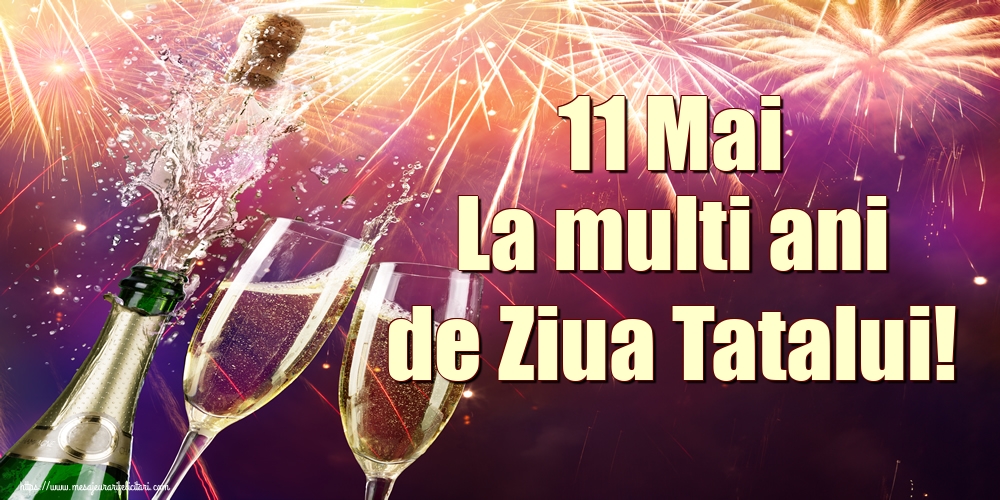 11 Mai La multi ani de Ziua Tatalui!