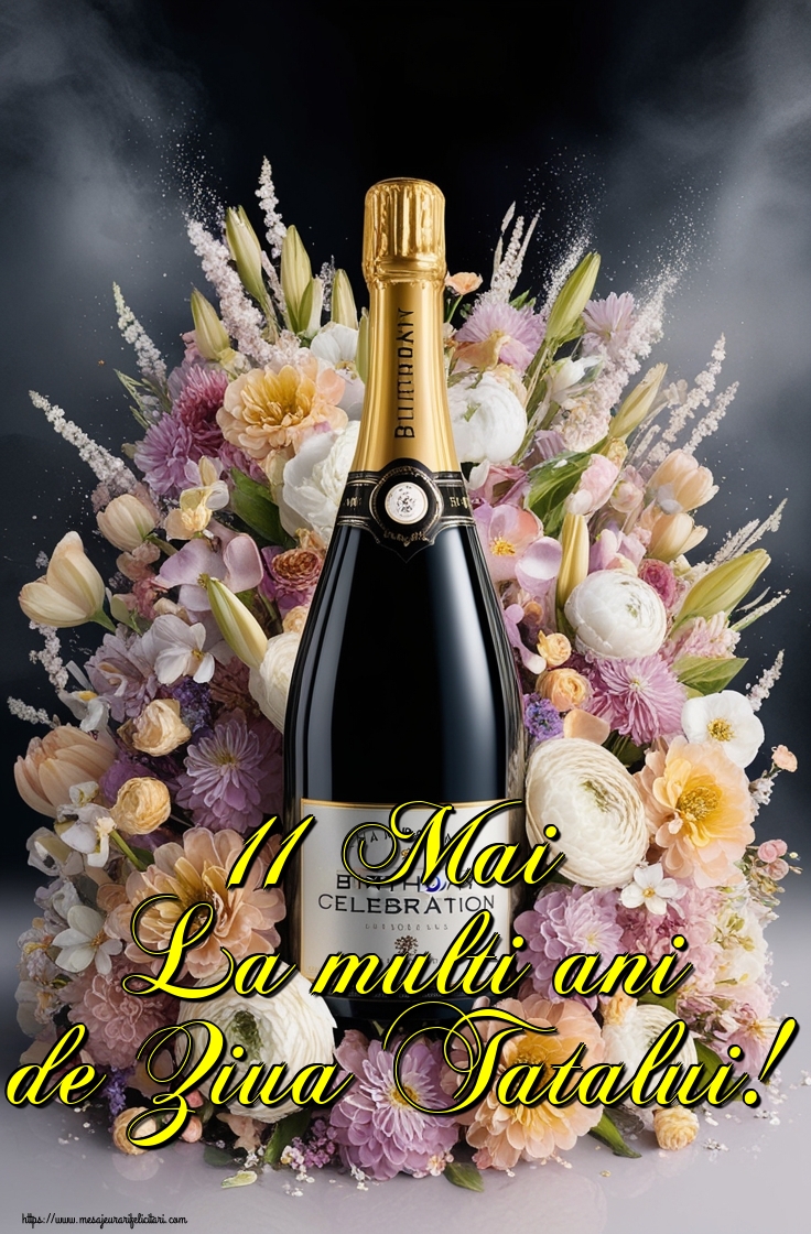 11 Mai La multi ani de Ziua Tatalui!
