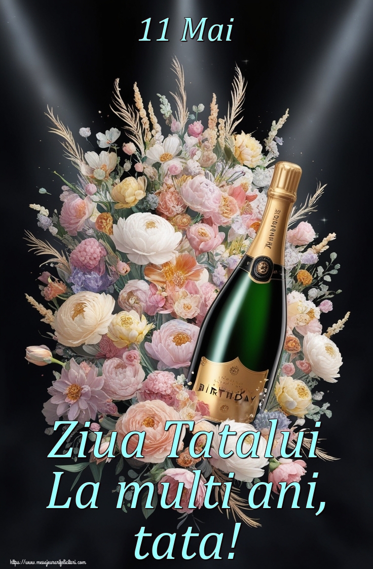 11 Mai Ziua Tatalui La multi ani, tata!
