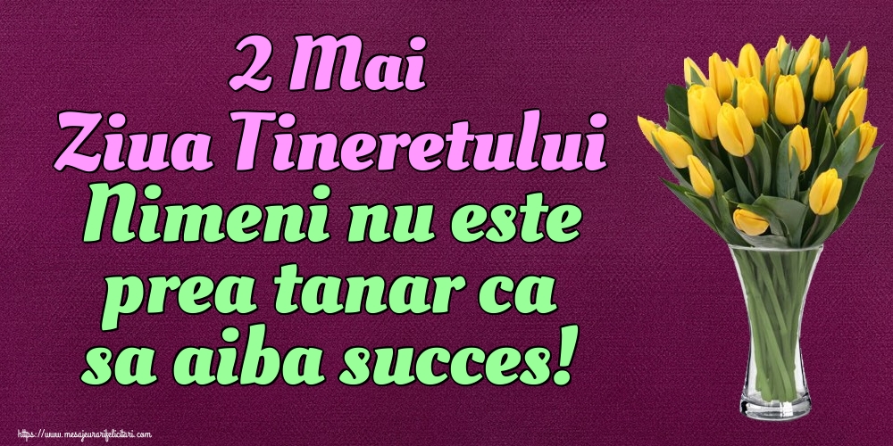 Felicitari de Ziua Tineretului - 2 Mai Ziua Tineretului Nimeni nu este prea tanar ca sa aiba succes! - mesajeurarifelicitari.com