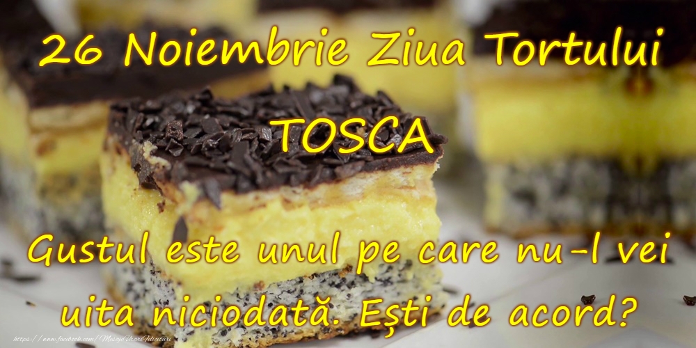 Felicitari de Ziua Tortului - 26 noiembrie - Ziua Tortului - mesajeurarifelicitari.com