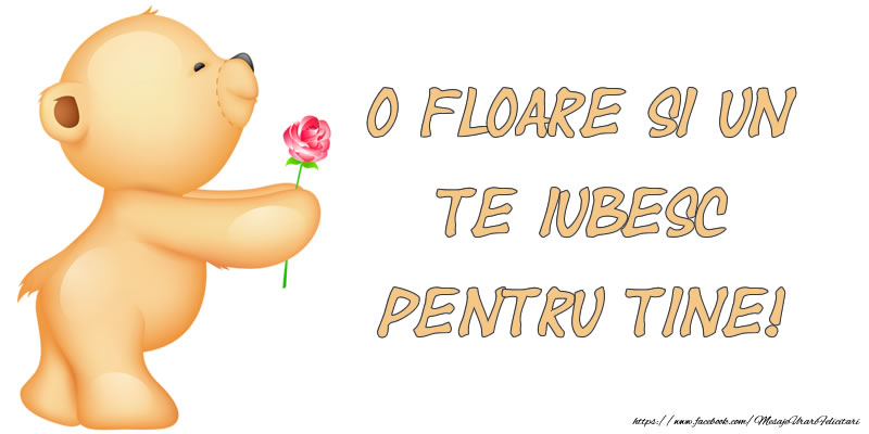 O floare si un te iubesc pentru tine!