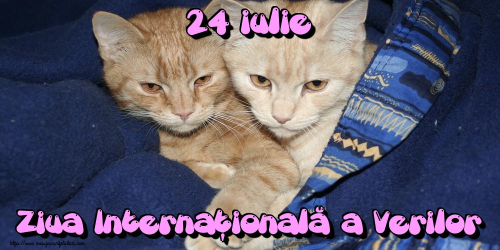 24 iulie Ziua Internaţională a Verilor