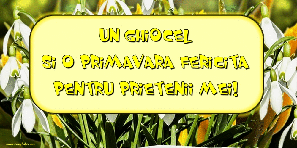 Felicitari animate de 1 Martie - Un ghiocel si o primavara fericita pentru prietenii mei!