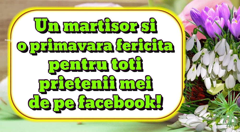 Felicitari animate de 1 Martie - Un martisor si o primavara fericita pentru toti prietenii mei de pe facebook!