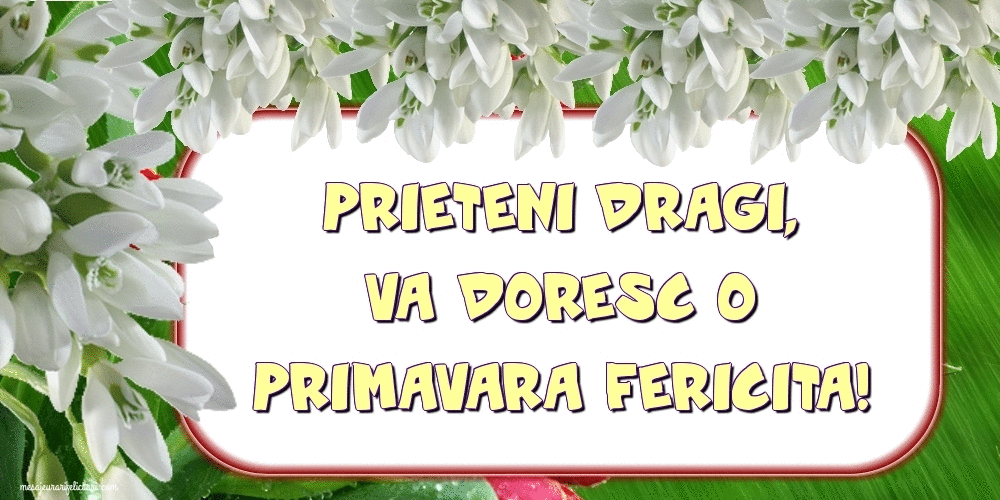 Felicitari animate de 1 Martie - Prieteni dragi, va doresc o primavara fericita!