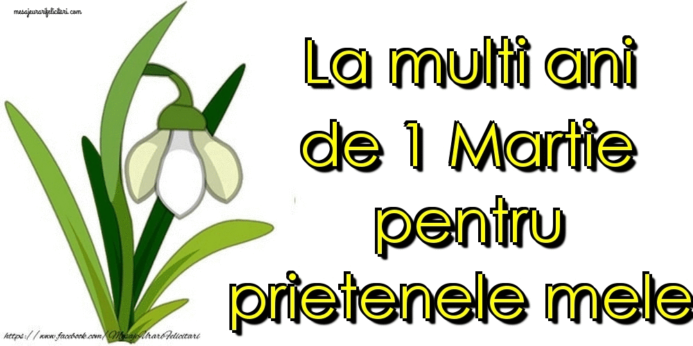 Felicitari animate de 1 Martie - La multi ani de 1 Martie pentru prietenele mele!