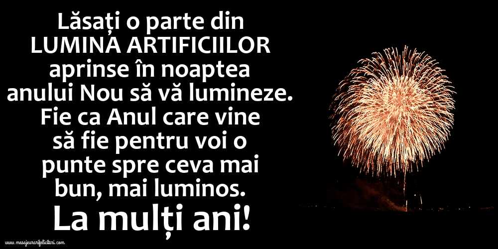 Felicitari animate de Anul Nou - Lumina artificiilor aprinse în noaptea anului Nou să vă lumineze.